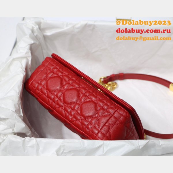 Perfect Dior Caro High Quality Red Bag