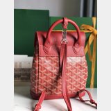 Copy Designer goyard Alpin mini backpack