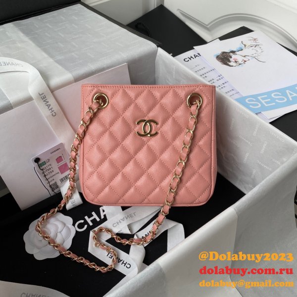 Best Online Store For Knockoff Bucket Lambskin AS3176 Bag