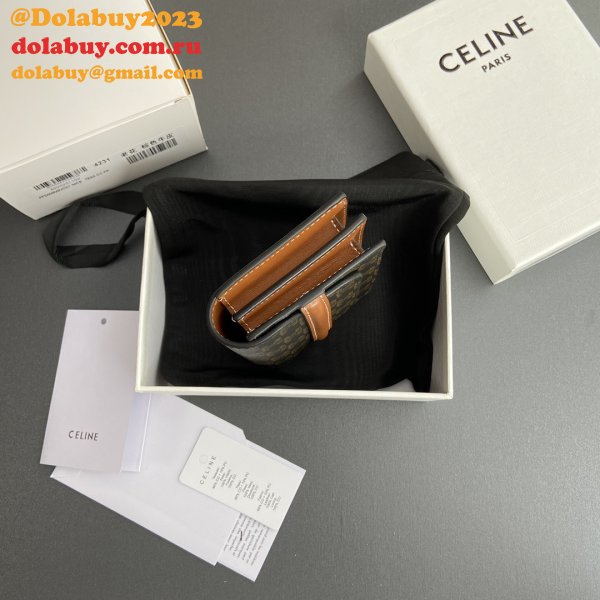 Perfect celine TRIOMPHE wallet