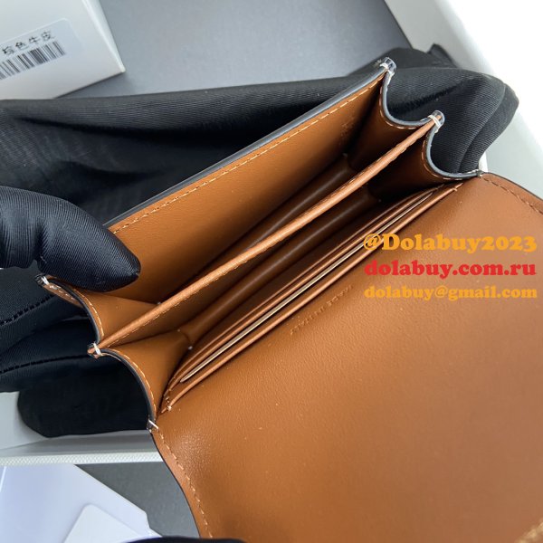 Perfect celine TRIOMPHE wallet