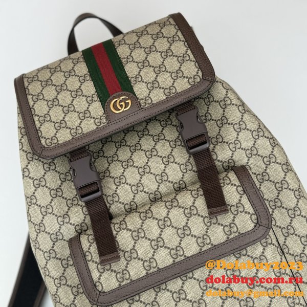 Gucci Wholesale Designer Ophidia Large GG Backpack 792104 Bag