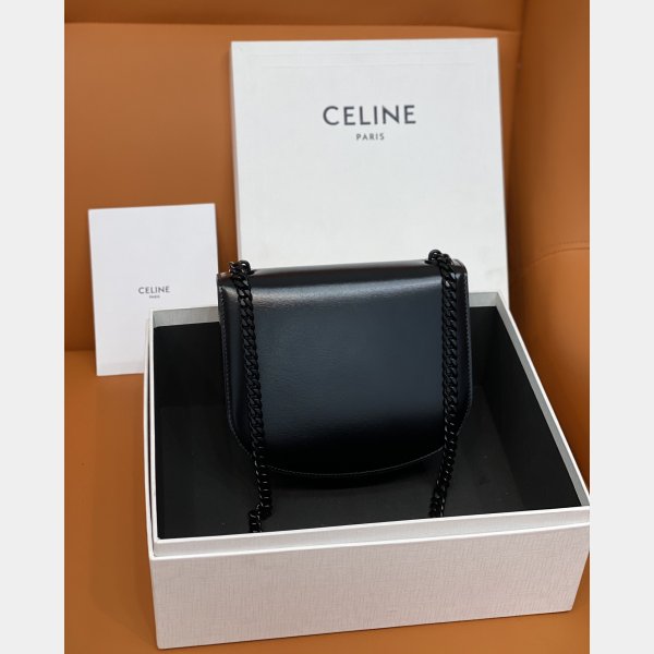 Top Quality celine TEEN BESACE TRIOMPHE bag