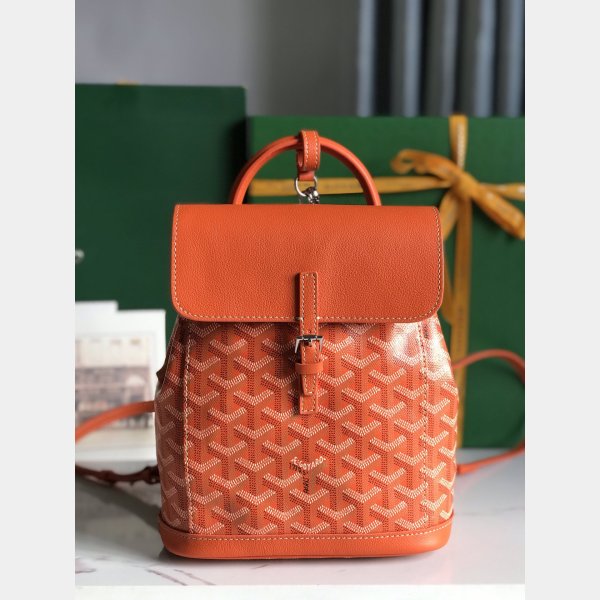 AAA+ goyard mini Alpin backpack Wholesale