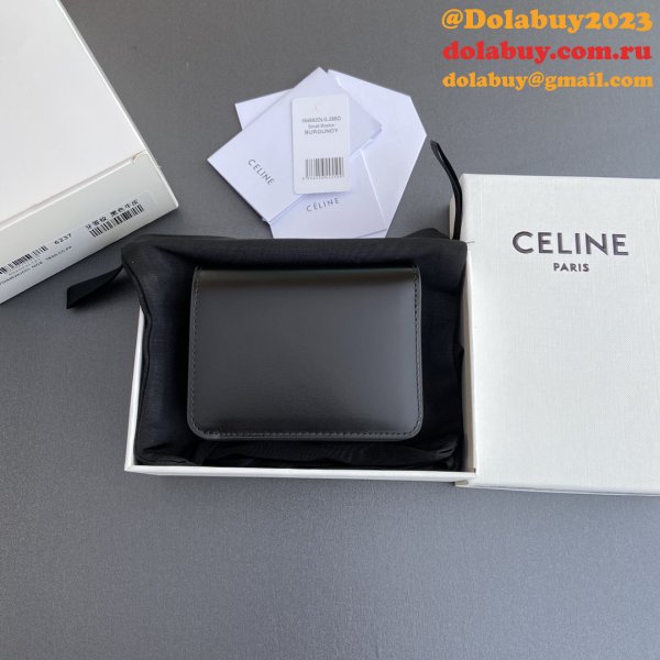 Perfect celine TRIOMPHE 1:1 Mirror wallet