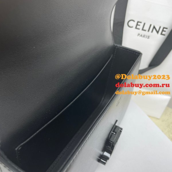 Cheap Celine Buy Fake Triomphe 20.5CM Online Sale