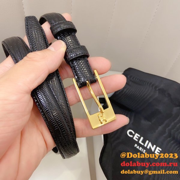 This belt bag celine Inspired