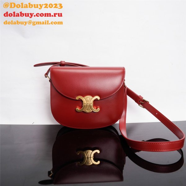 Fake UK Celine Triomphe Perfect Best Bag