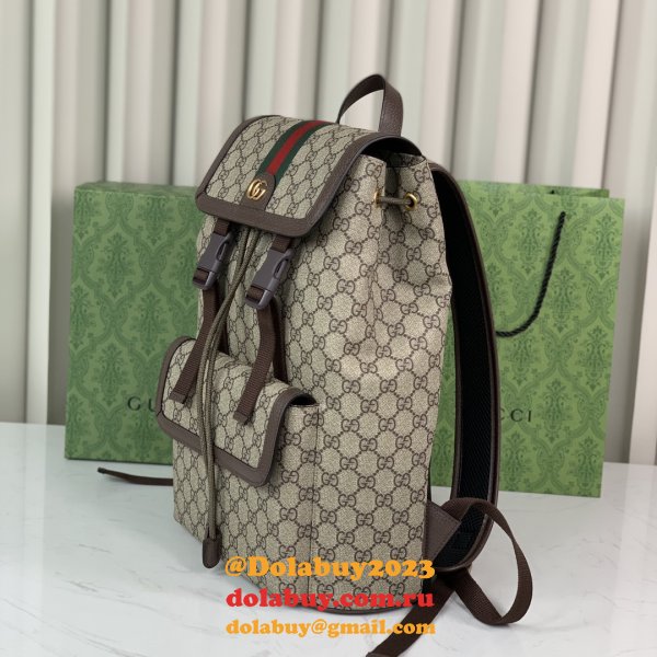 Inspired gucci Ophidia GG backpack 792114