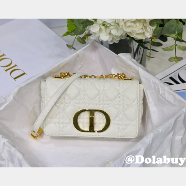 Dior Replica white Debuts the New Caro Bag