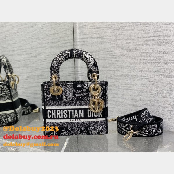 The Perfect Designer Christian Dior 17cm Bags For Sale