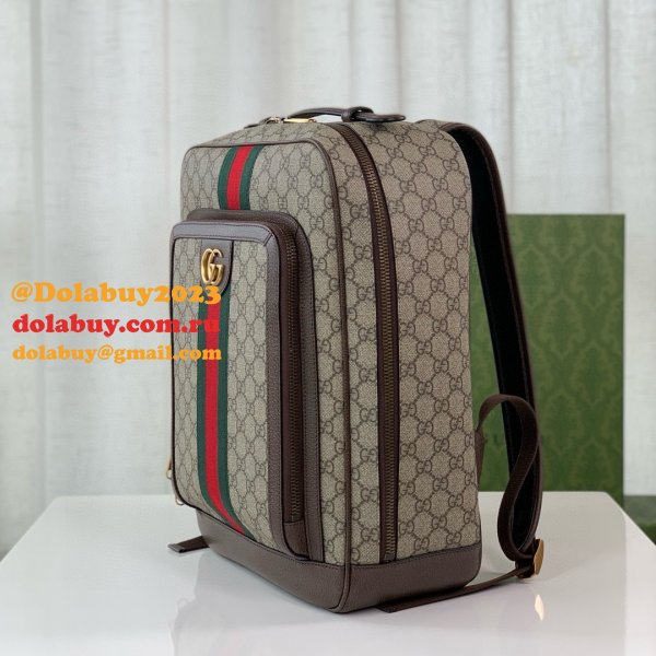 Designer gucci Ophidia GG backpack 745718