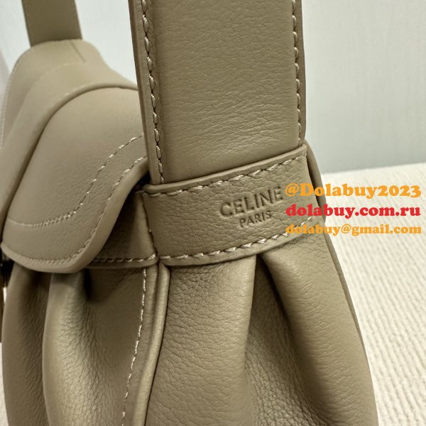 High Quality bag Celine POLLY Triomphe 115633 handbag