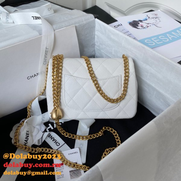 Want Luxury Buy AS3828/AS3829/AS3921 Shoulder Fashion Bag