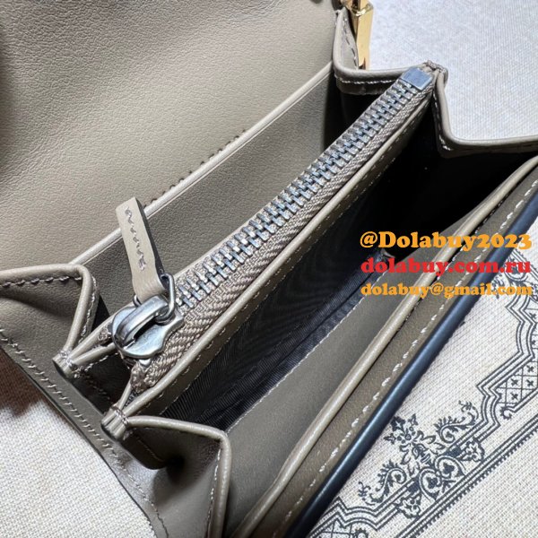 I Buy Fashion Dionysus Chain Wallet Metallic 696804 Bag