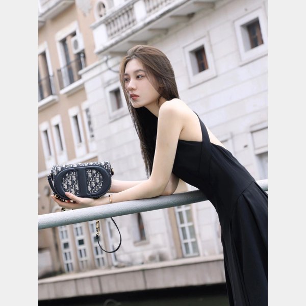 Wholesale Sell Dior Online Luxury Luxury Handbags