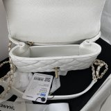 AAA+ Bags Online AS2215 CAVIAR Bag 19cm