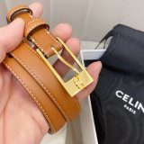 This belt bag celine Inspired