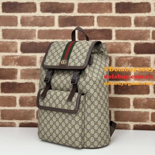 Gucci Wholesale Designer Ophidia Large GG Backpack 792104 Bag