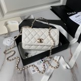 Designer 7 Star Clutch With Chain AP3797 Copy Best Bag