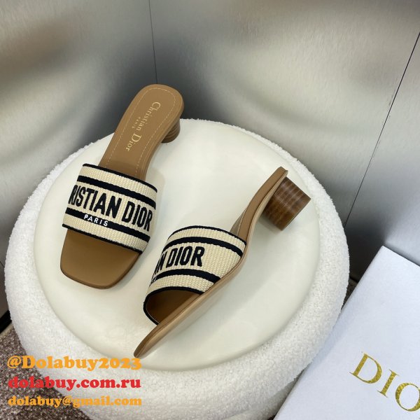 Perfect Dior Dway Slide 2024 Inspired