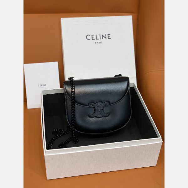 Top Quality celine TEEN BESACE TRIOMPHE bag