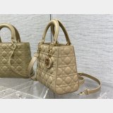 7 Star DIOR lady 17/20/24CM calf togo leather bag