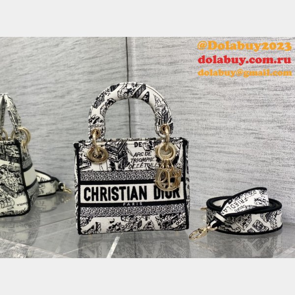 The Perfect Designer Christian Dior 17cm Bags For Sale