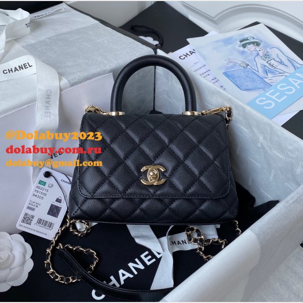 AAA+ Bags Online AS2215 CAVIAR Bag 19cm