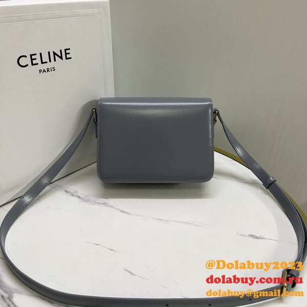 Best High-Quality Celine 188423/187363 Triomphe Inspired Handbag