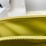 1:1 Wholesale Celine Triomphe Teen Luxury Handbag