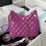 The Best High Quality AS4322 Hobo Shiny Top Quality Handbag