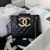 Shop Luxury High Quality 2024 Cruise Shoulder Black AS4596 Bag