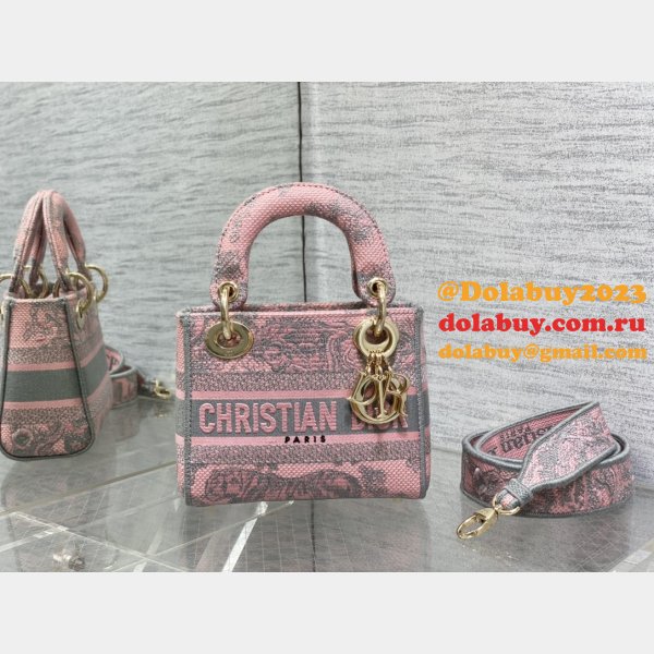 Exquisitely Made Knockoff Dior Lady 17CM Bag From Online Shopping