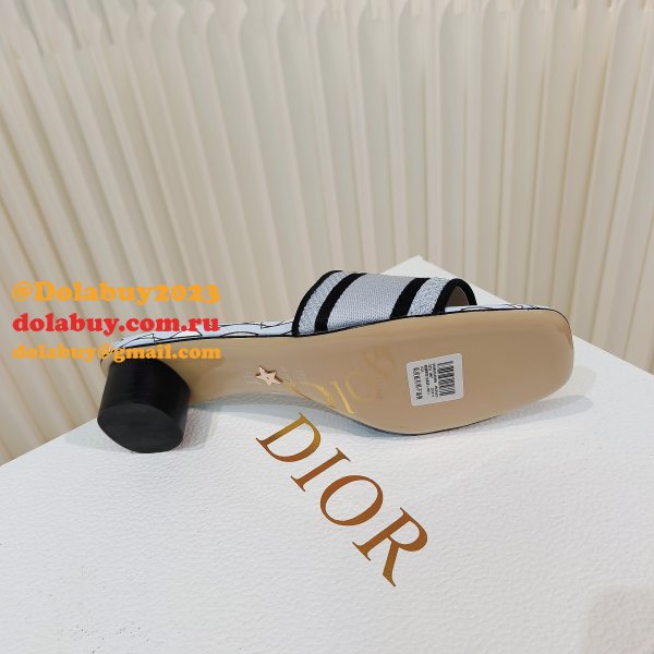 Perfect dior Dway Heeled Slide