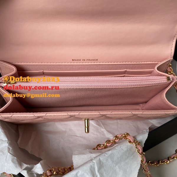 Designer UK Place To Buy Fake Designer Woc AP3318 Bags