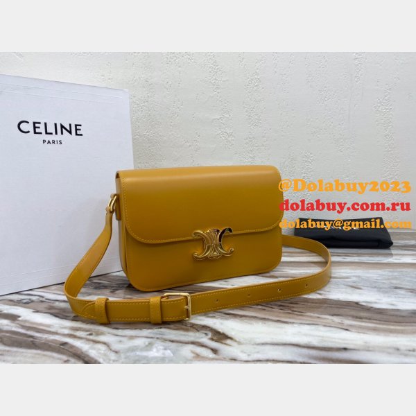 The Best Celine 1:1 Mirror Triomphe Knockoff  22cm Bag