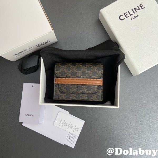 Perfect celine TRIOMPHE wallet