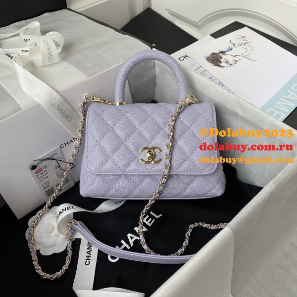 AAA+ Bags Online AS2215 CAVIAR Bag 19cm