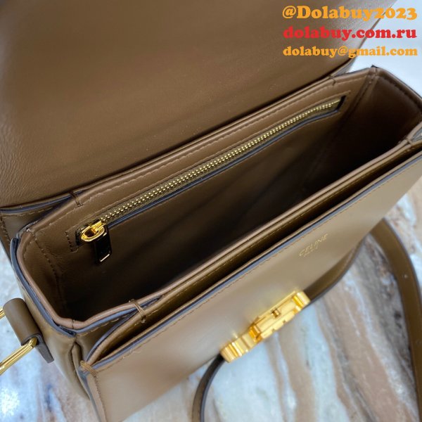 Celine Best Knock Off Triomphe Micro Luggage 18.5 cm Handbags