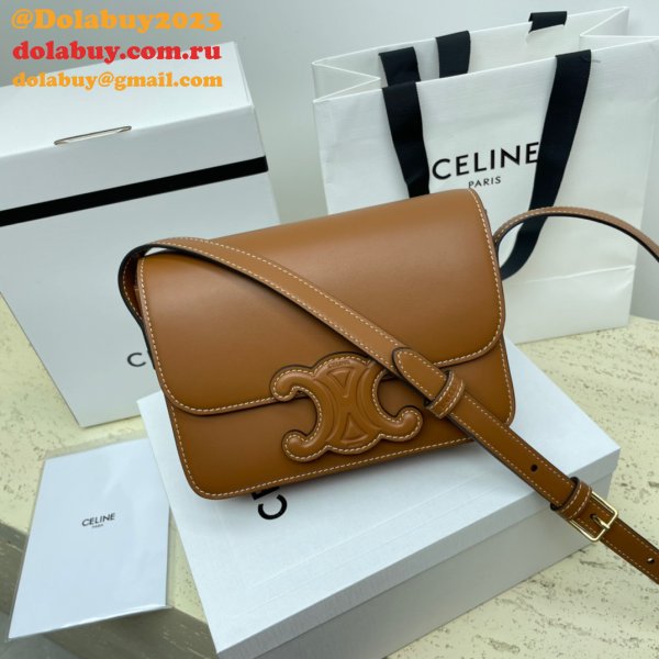 1:1 Wholesale Celine Triomphe Teen Luxury Handbag