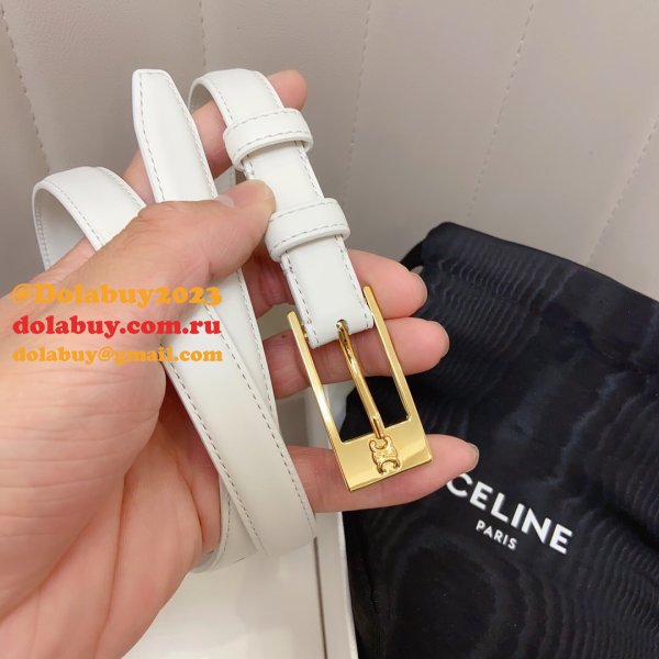 This belt bag celine Inspired