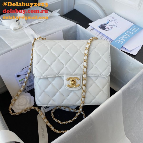 Where To Buy 1:1 Designer High Quality bag AS3648/AS3649 Small Flap Bag