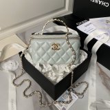 Top Perfect Vanity AP3799 Classic Chain 17cm Designer Bag