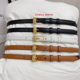 This belt bag celine Inspired