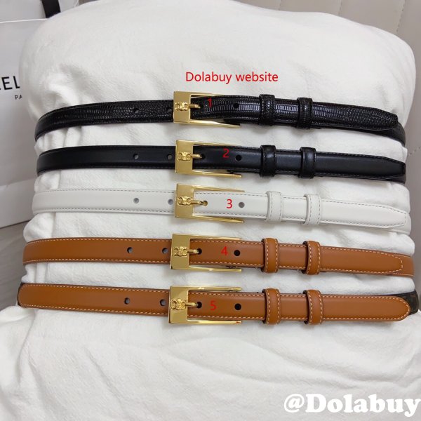 This belt bag celine Inspired