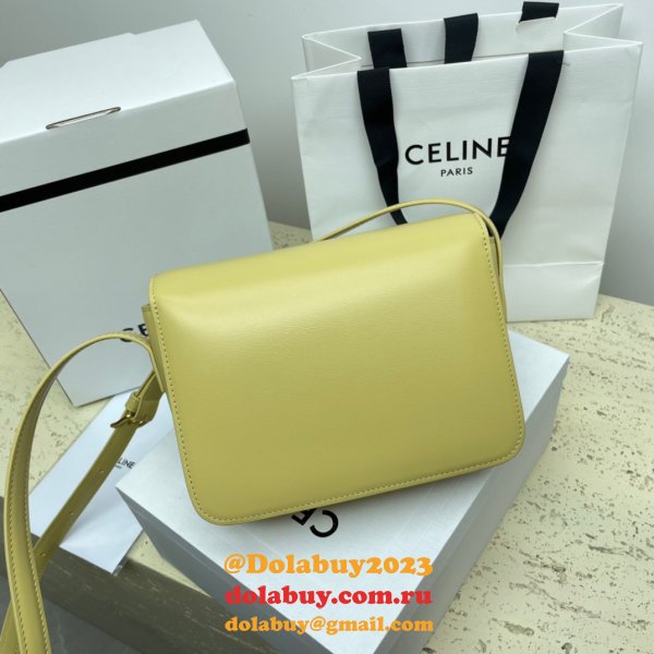 1:1 Wholesale Celine Triomphe Teen Luxury Handbag