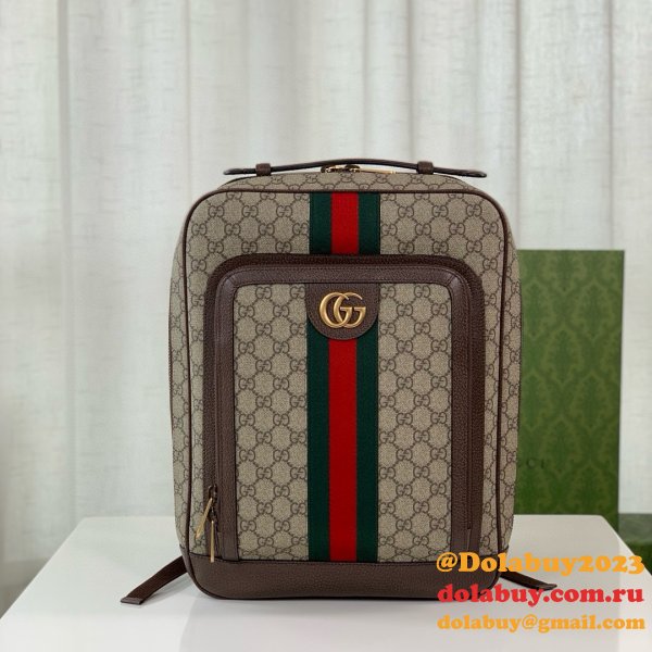 Designer gucci Ophidia GG backpack 745718