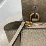 China Designer Celine AAA+ 99960/194263 Pico Fashion Bag