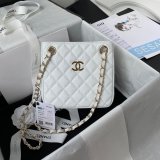 Best Online Store For Knockoff Bucket Lambskin AS3176 Bag